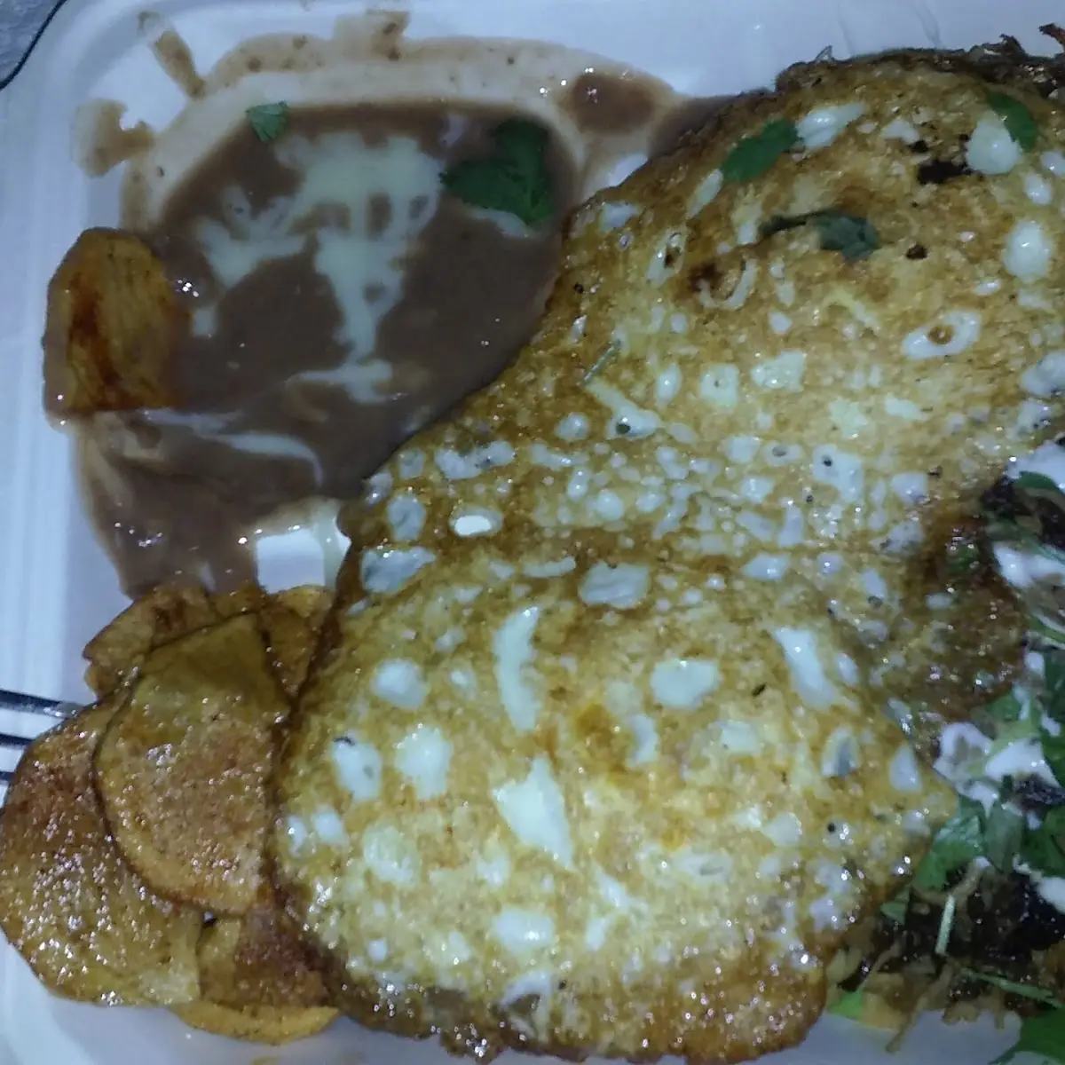 Fried Pork Carnitas