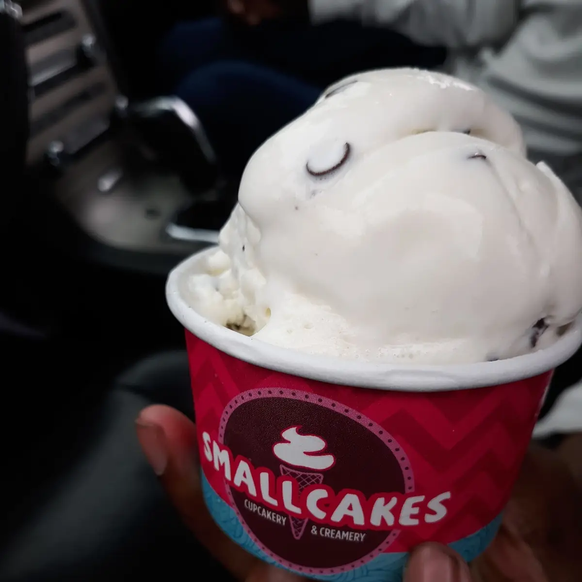 Mint Chocolate Chip
