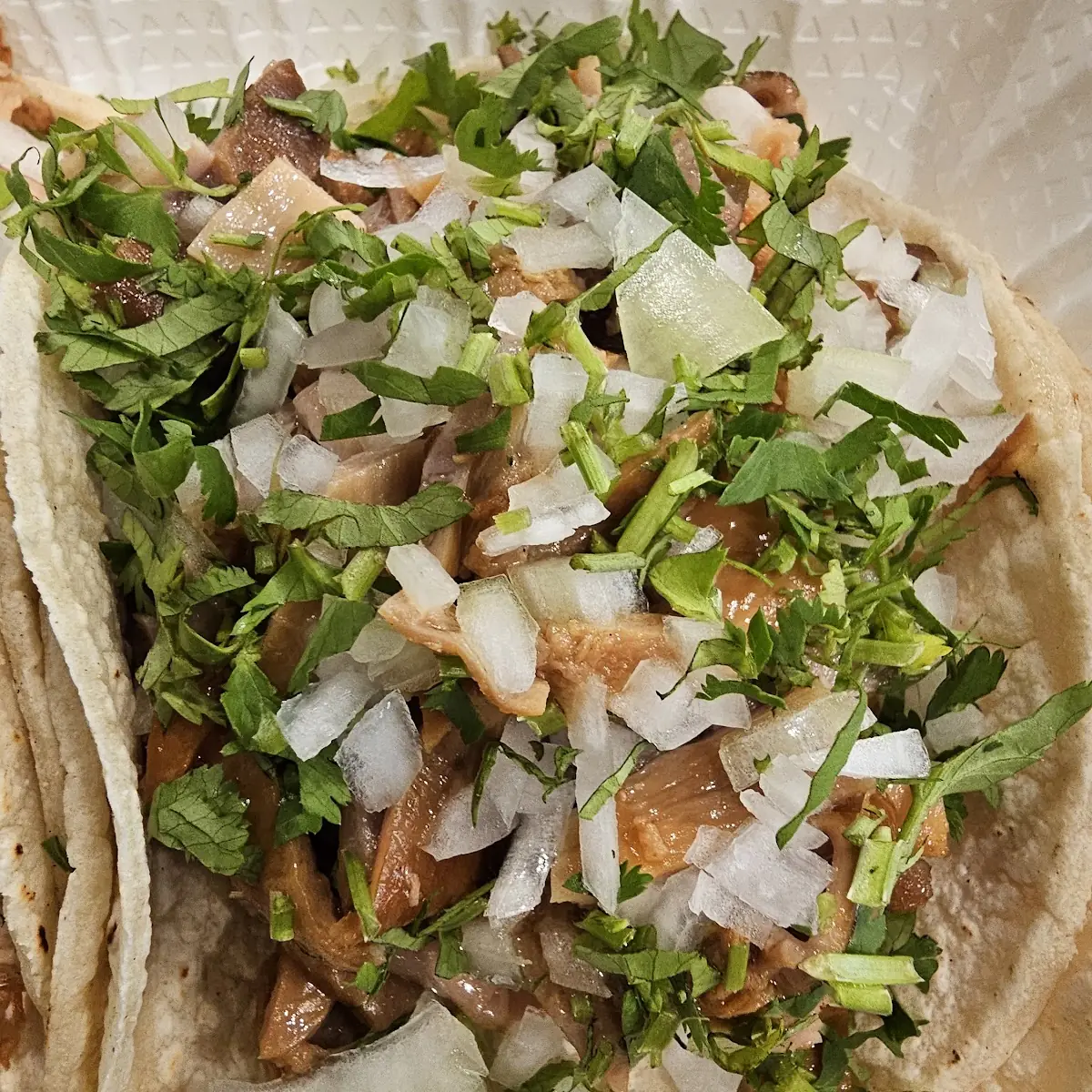 Carnitas Taco