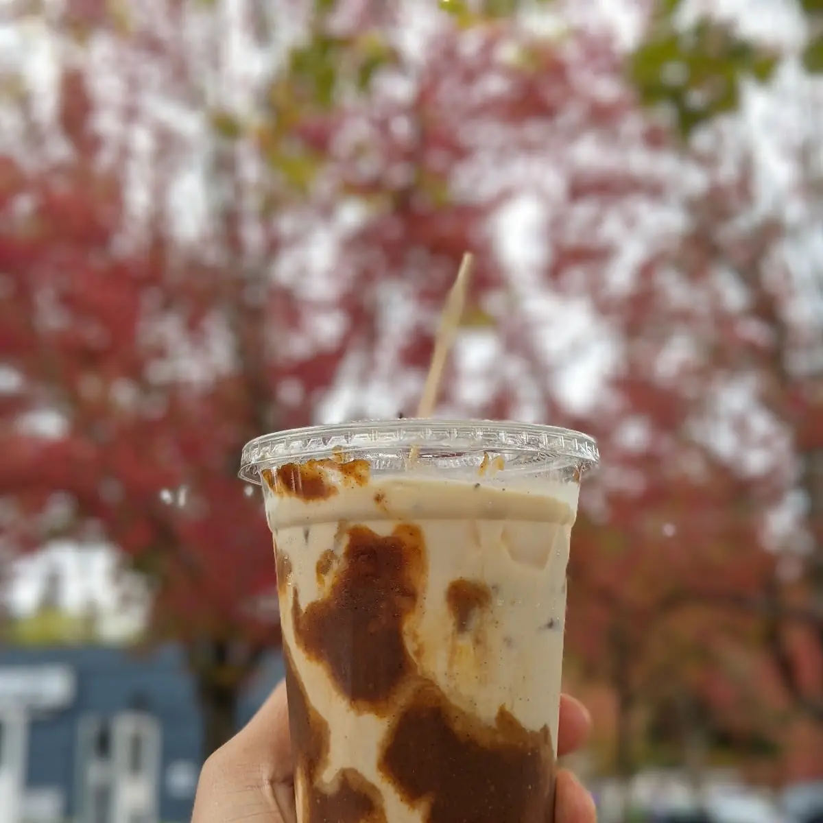 Hot Bobaejicha Milk Tea