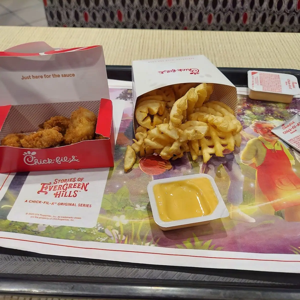 Chicken Nuggets and Fries