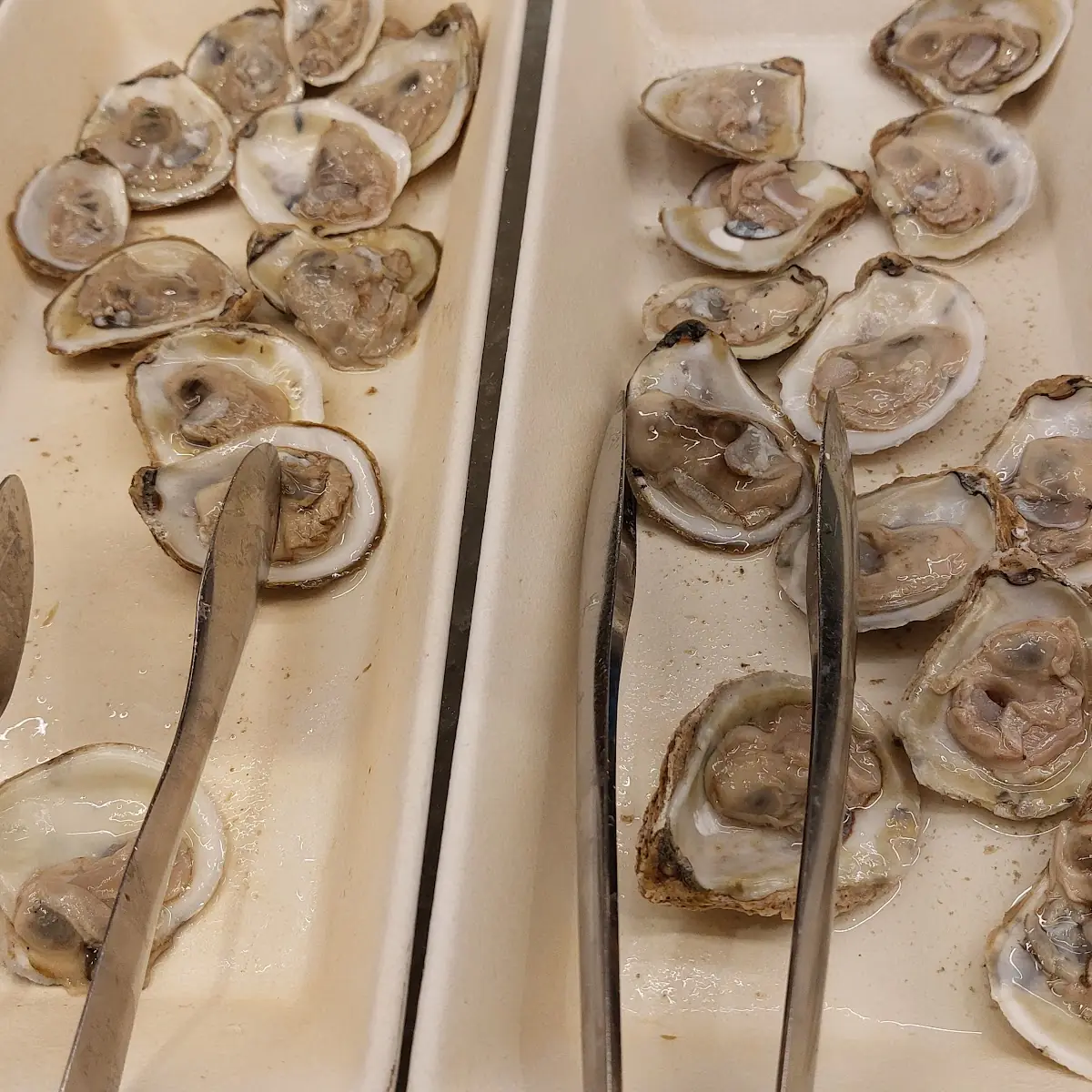 Oysters on the Half Shell