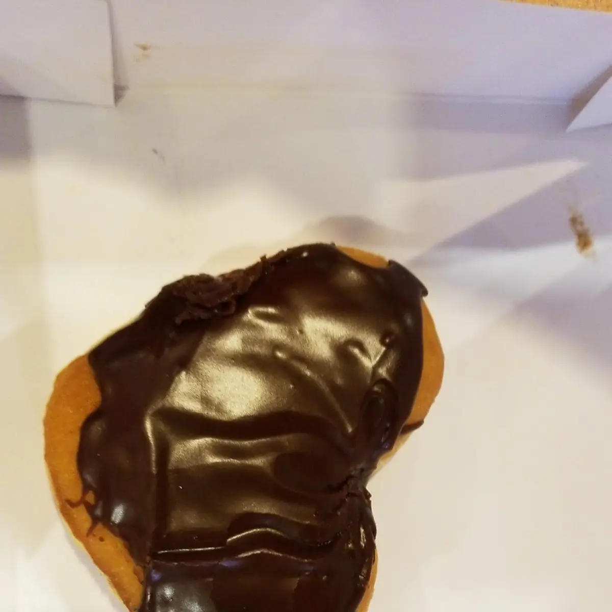 Boston Cream Donut