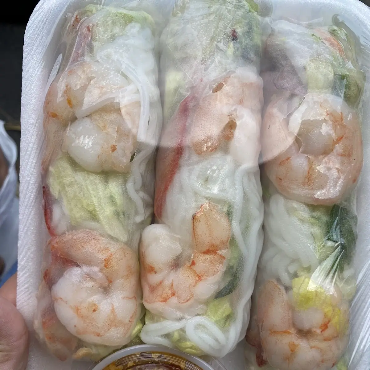 Spring Roll