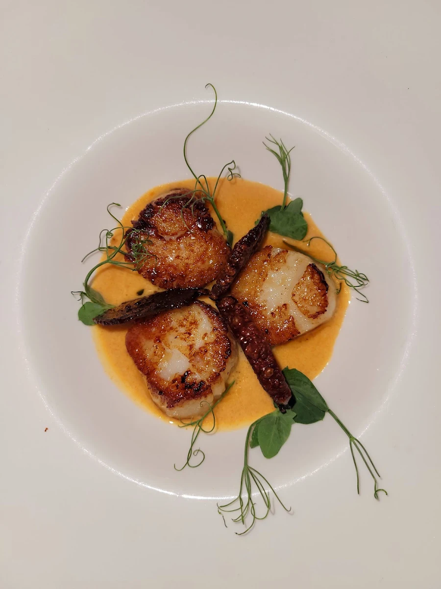 Highlights, Yourte - Bistro du Nord
