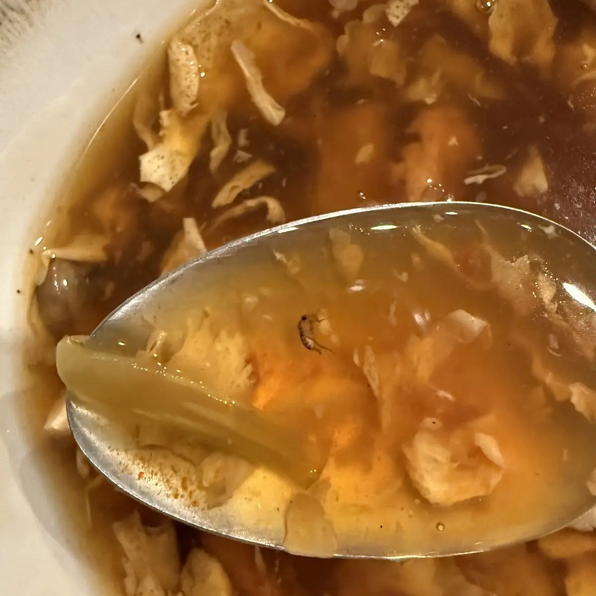 Hot and Sour Soup