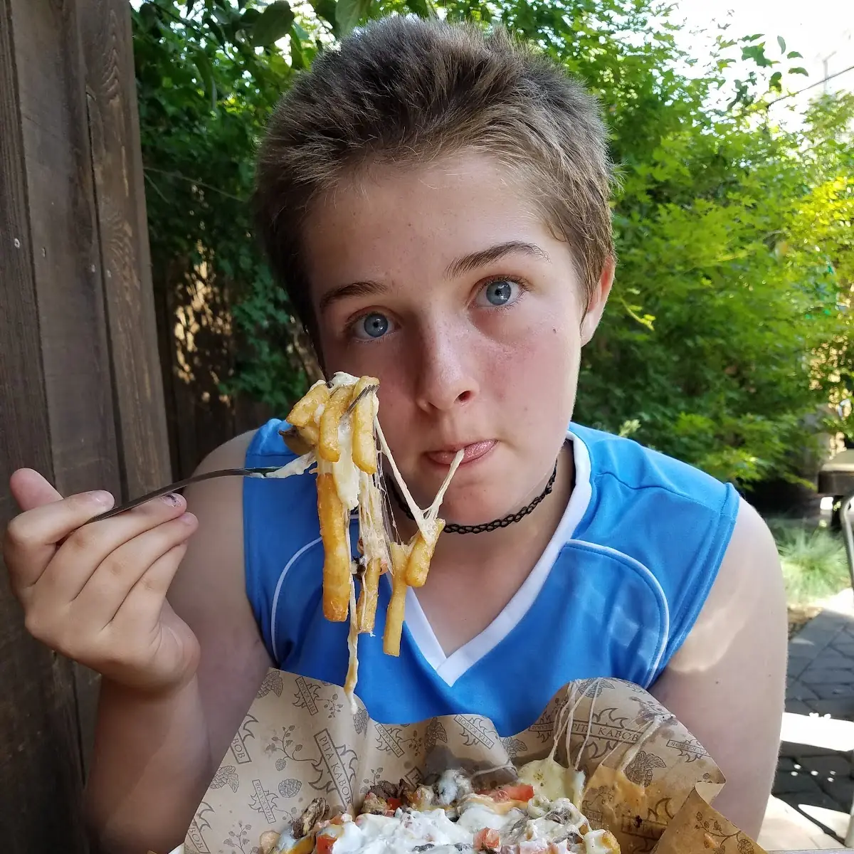 Gyro Fries