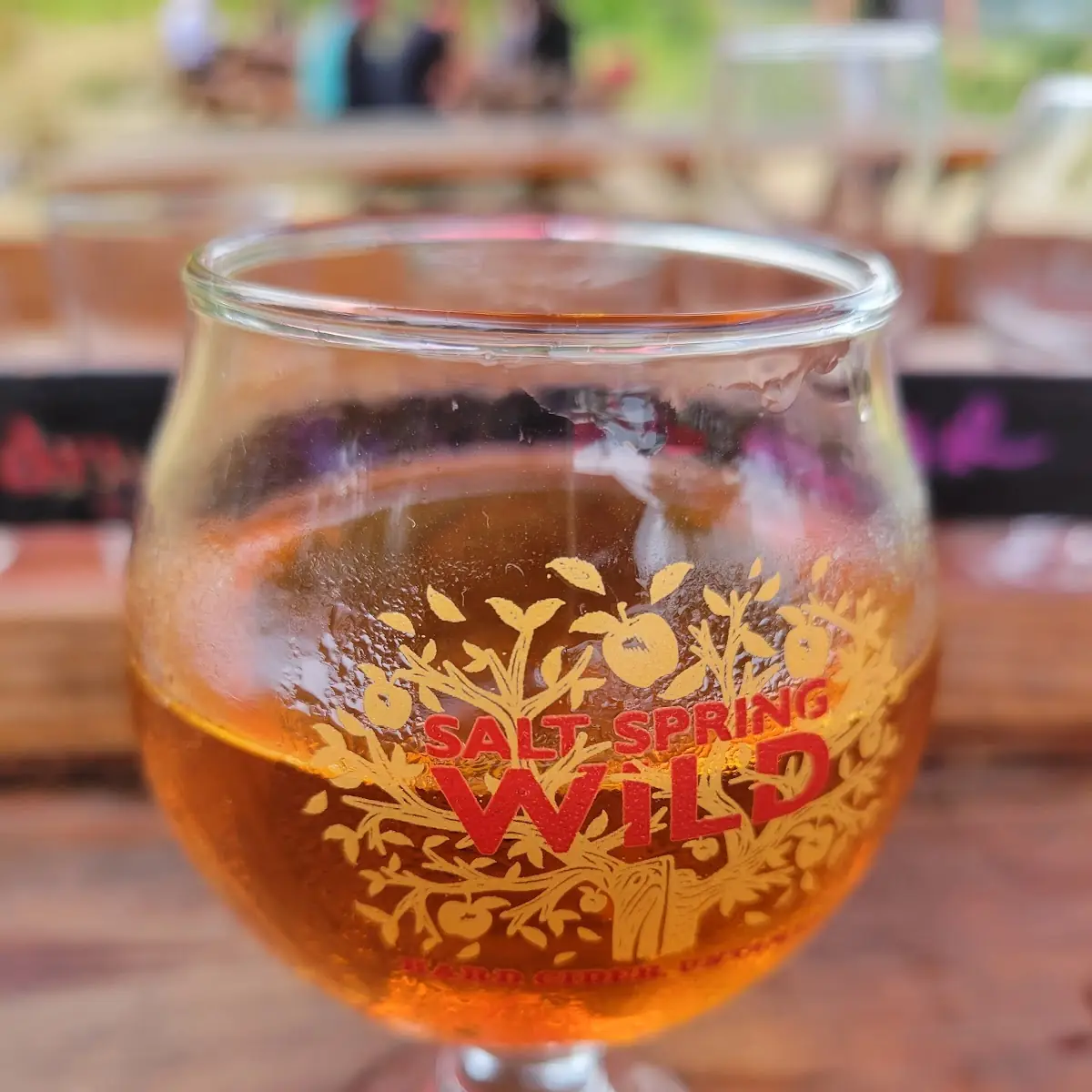Apple Cider