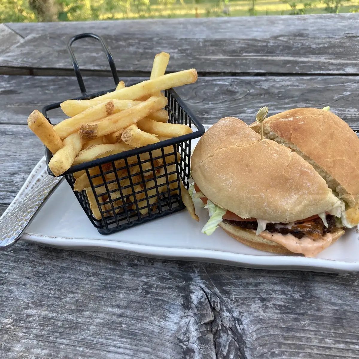 Chicken Burger and Fries