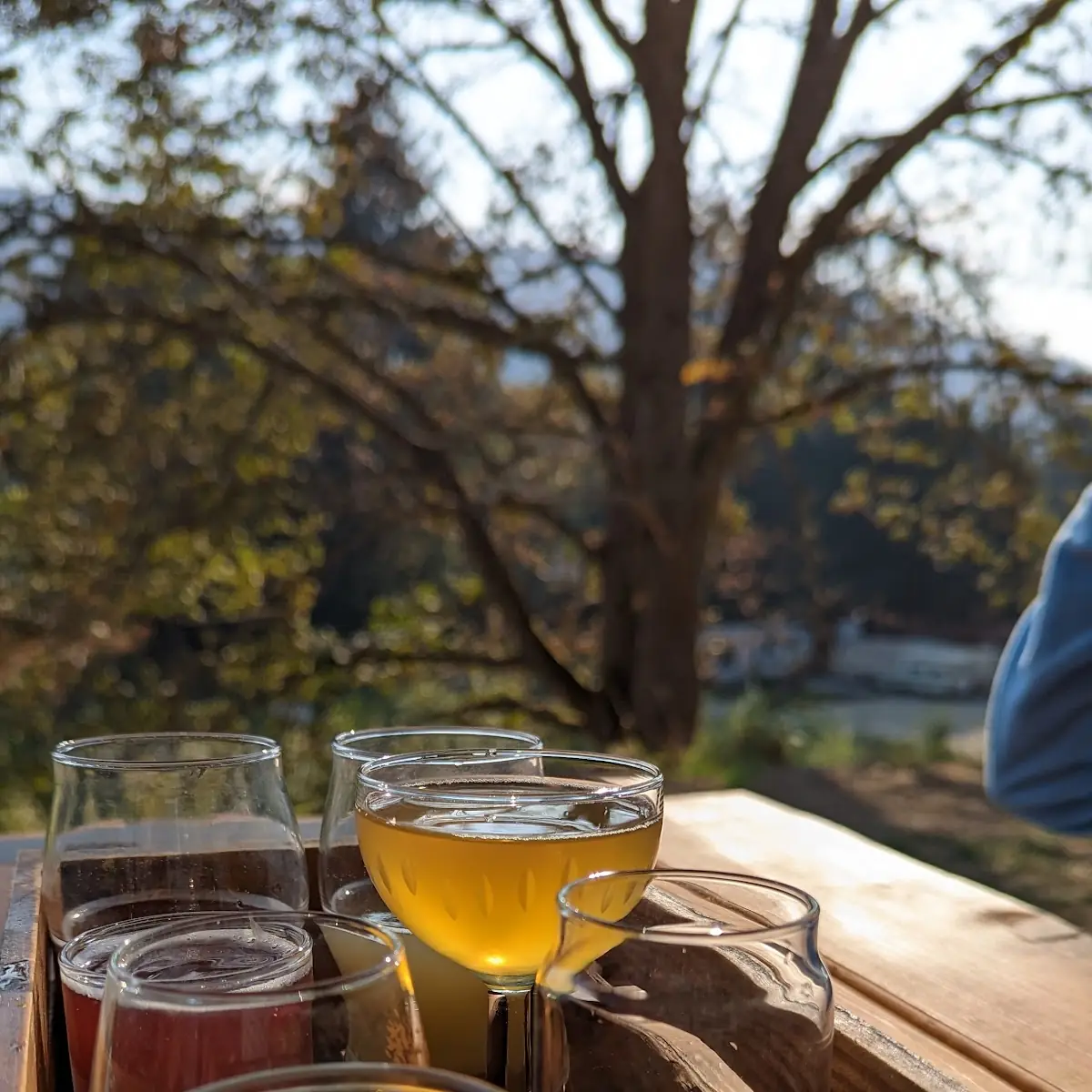 Traditional Cider Flight