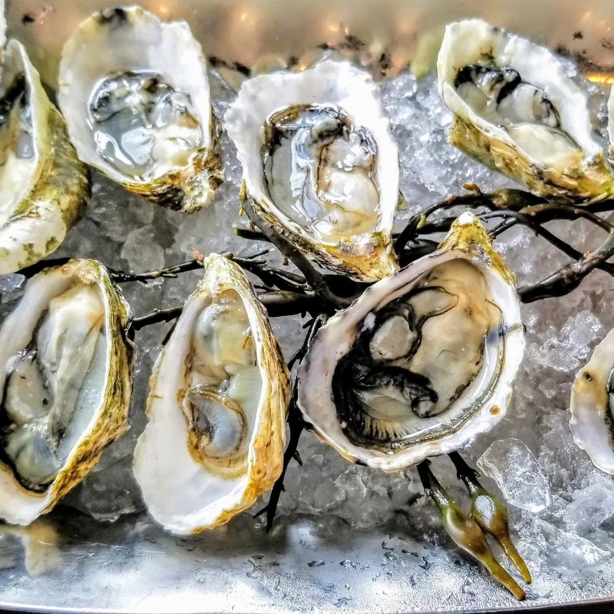 West Coast Oysters