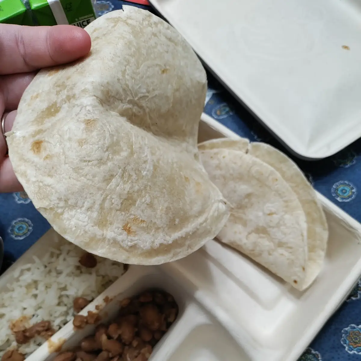 Cheese Quesadilla