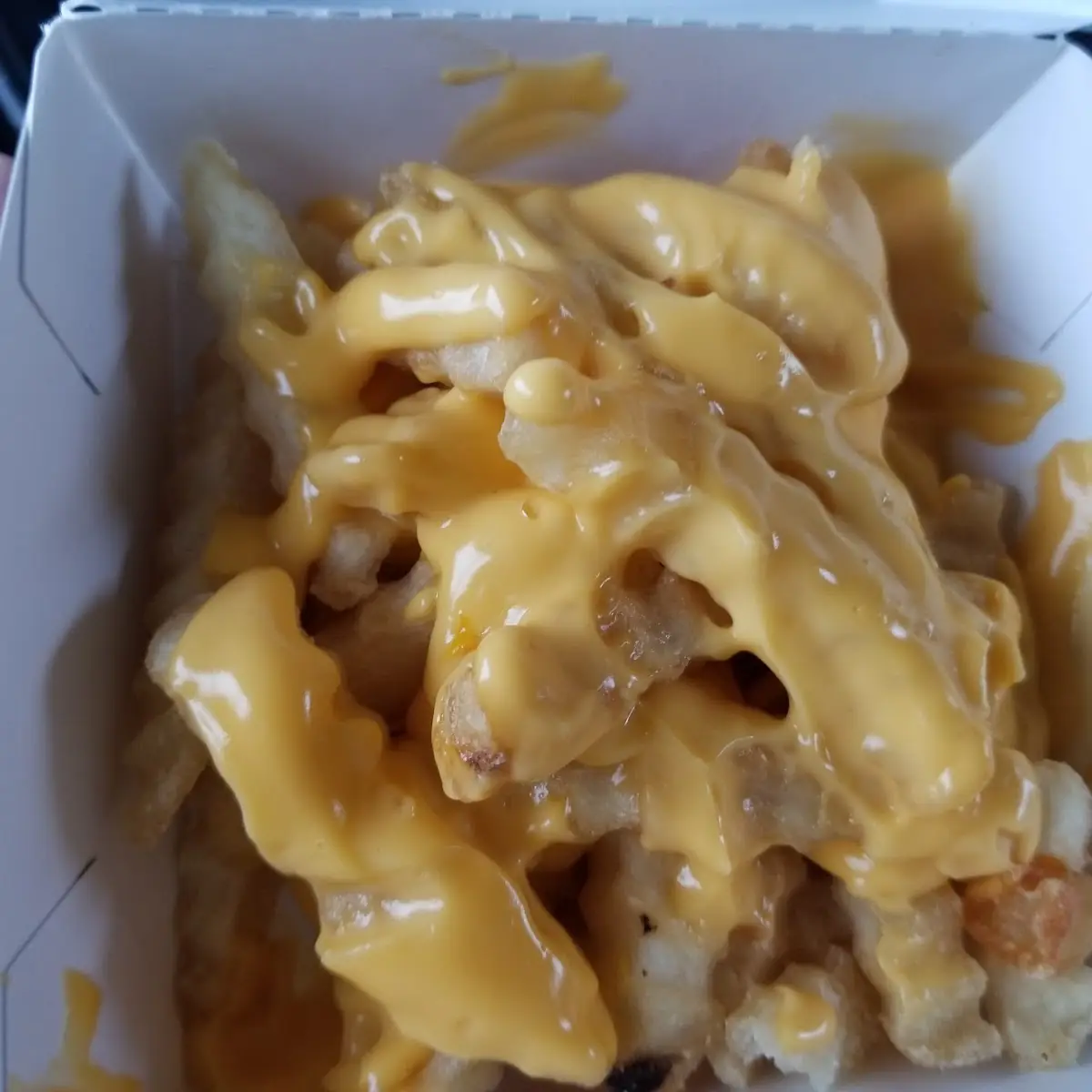 Cheese Fries