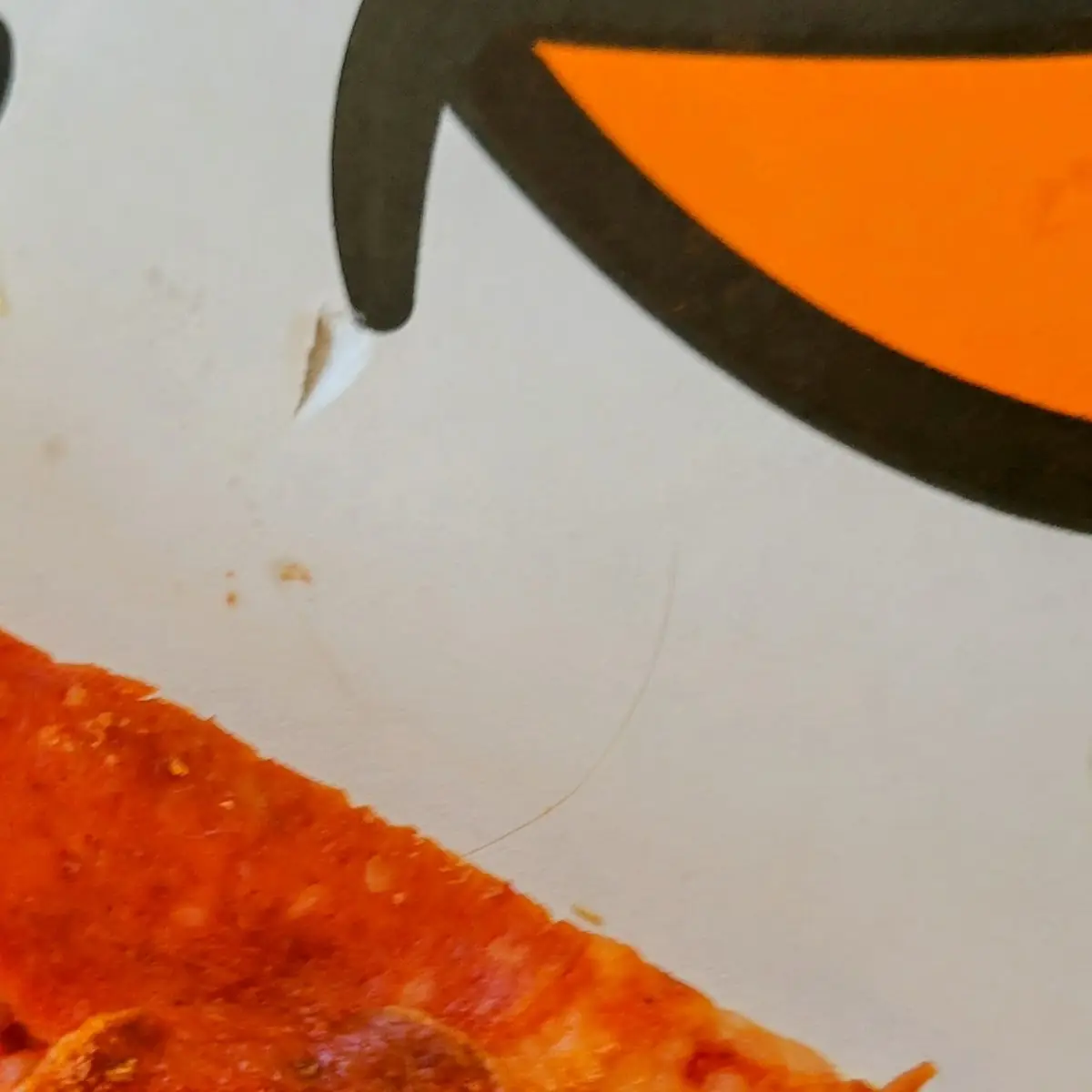 Hair in Pizza