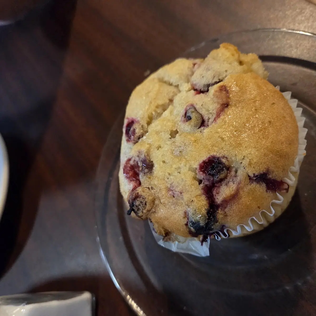 Blueberry Muffin