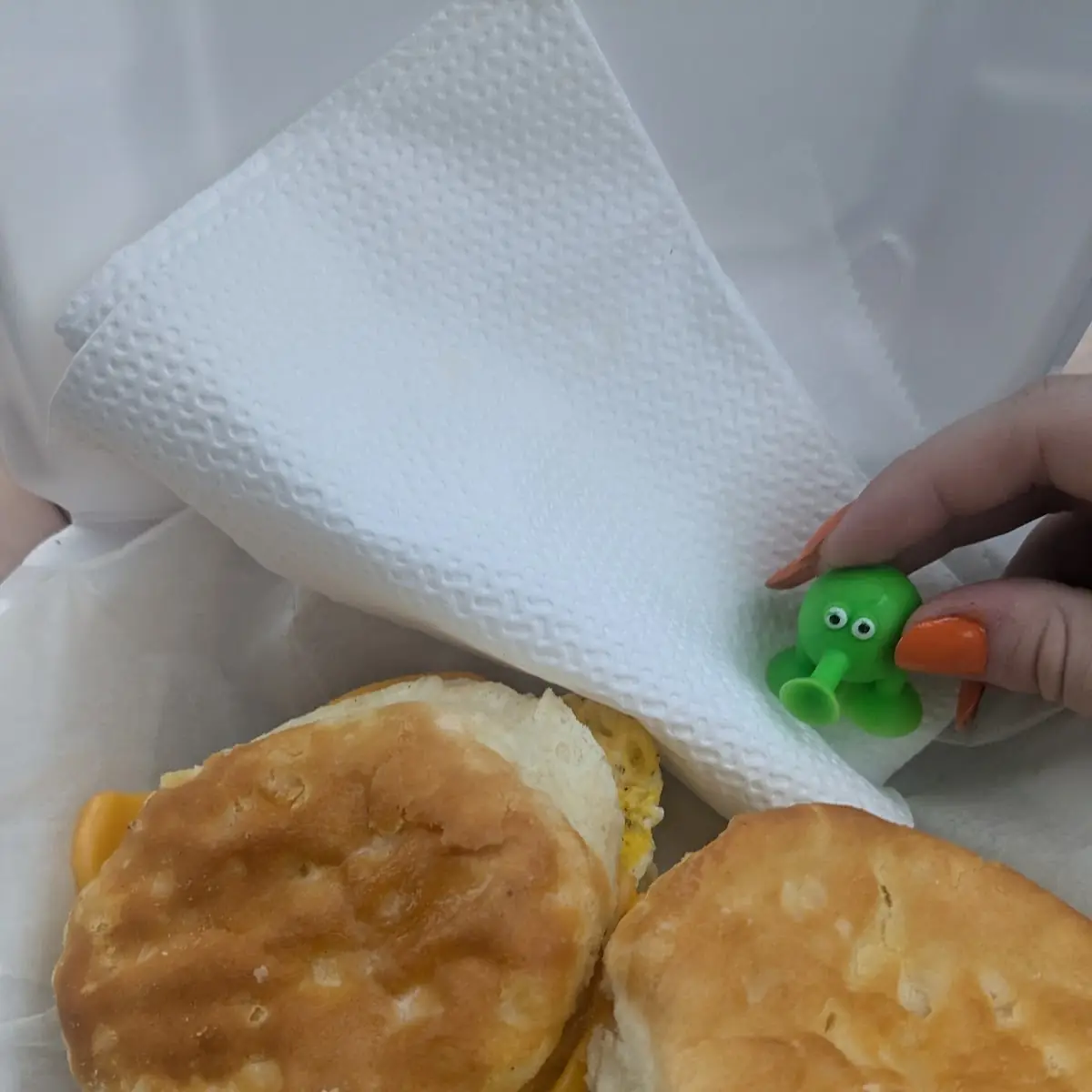 Egg Cheese Biscuit