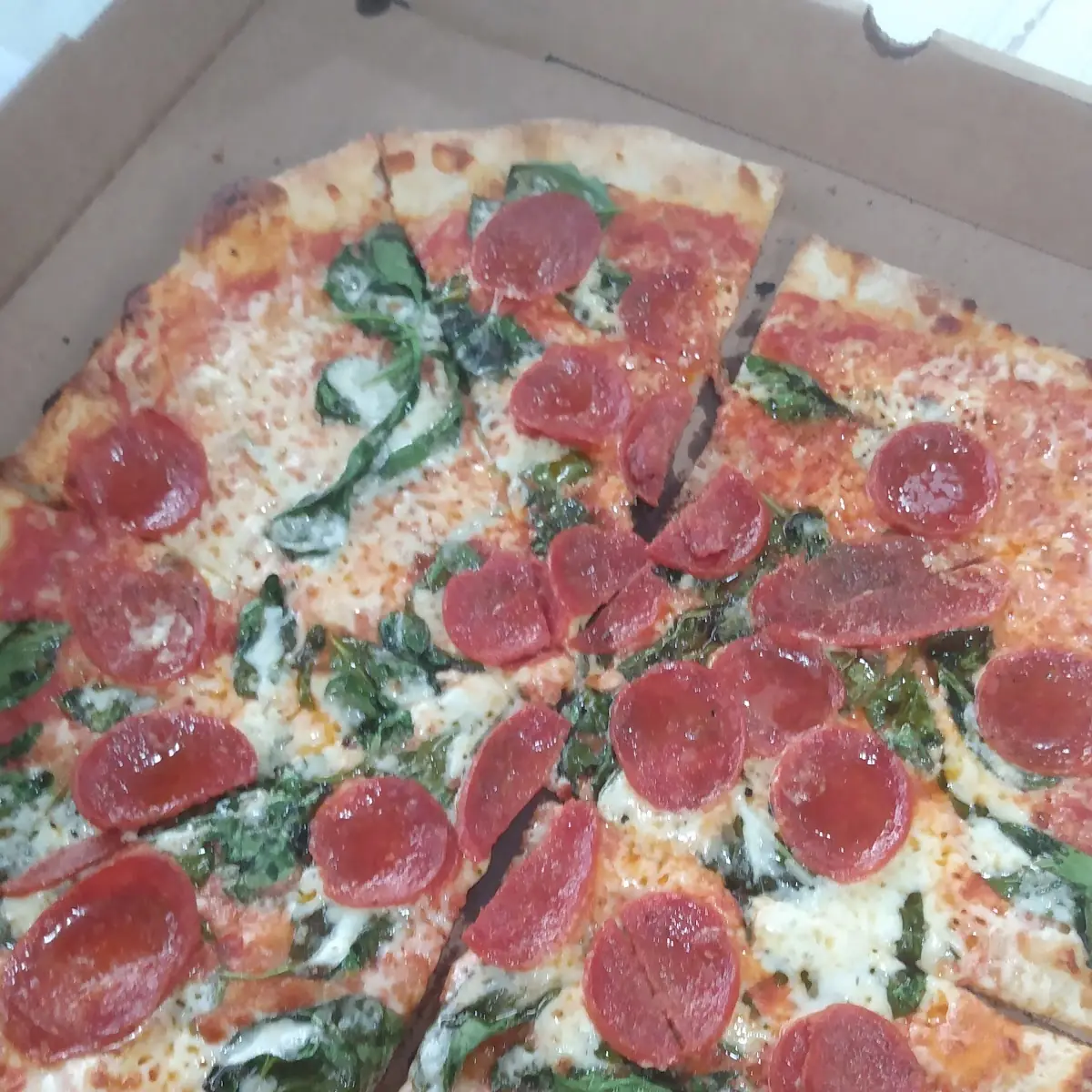 Flat Bread with Spinach