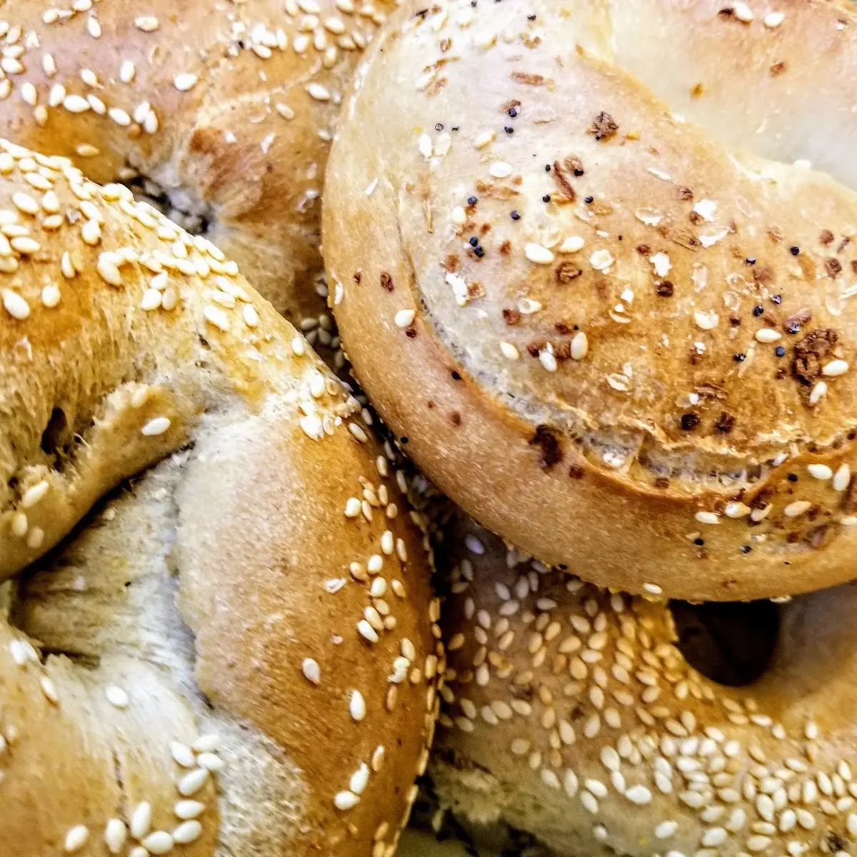 Vegetable Pizza Bagel