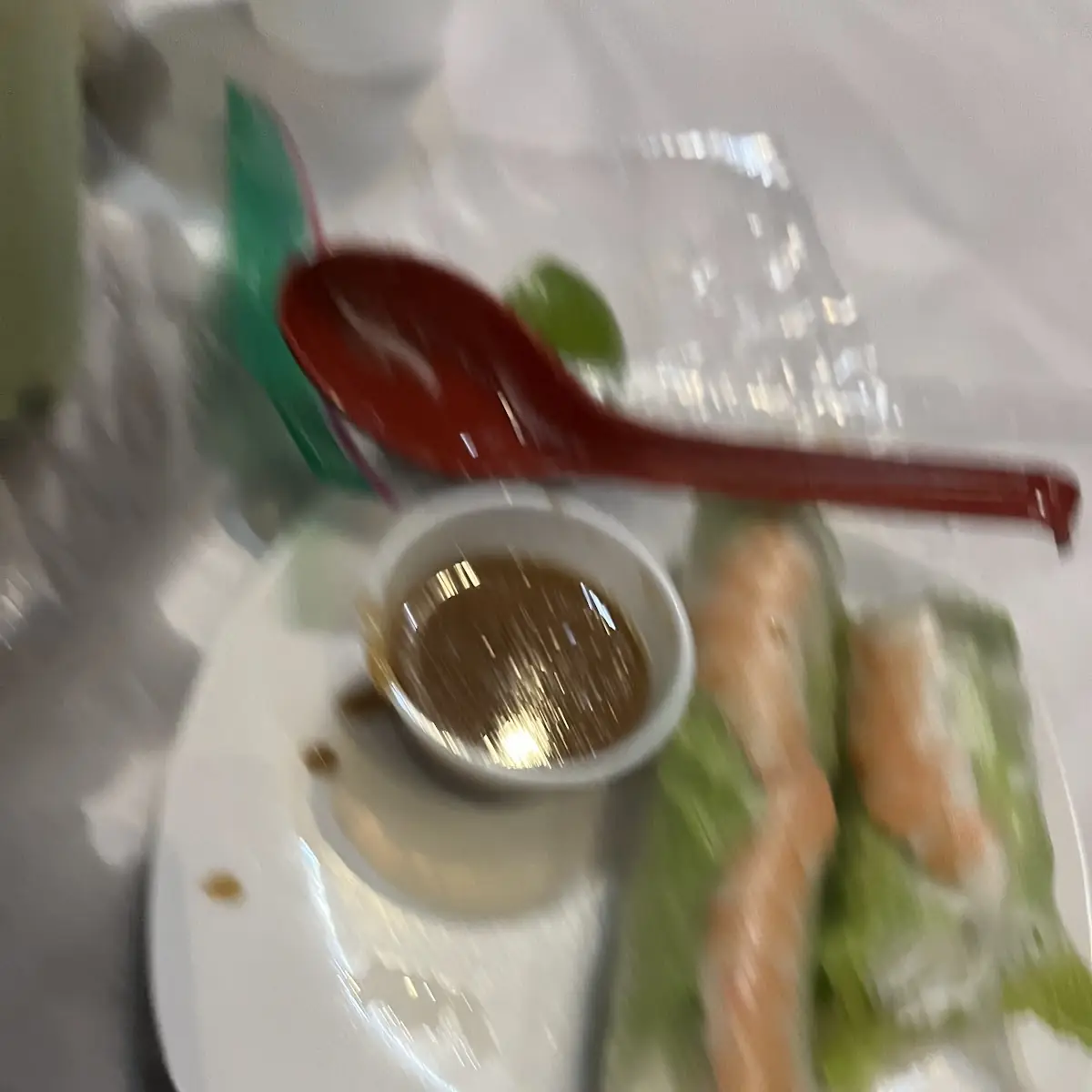 Spring Roll