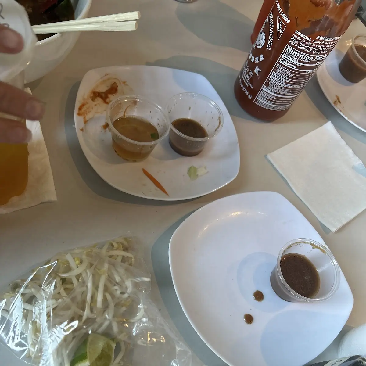 Spring Rolls and Fish Sauce