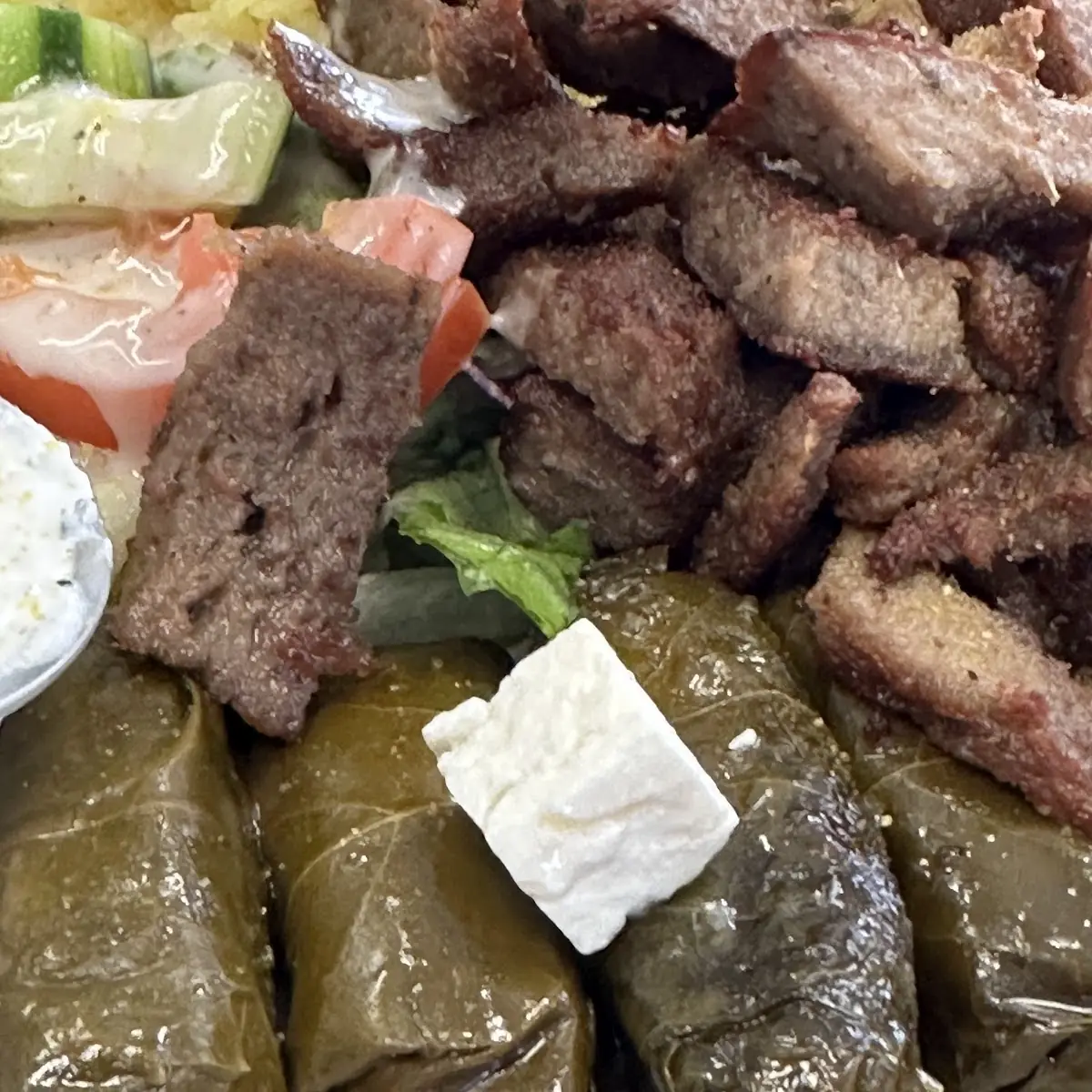 Dolmate an Pita Bread