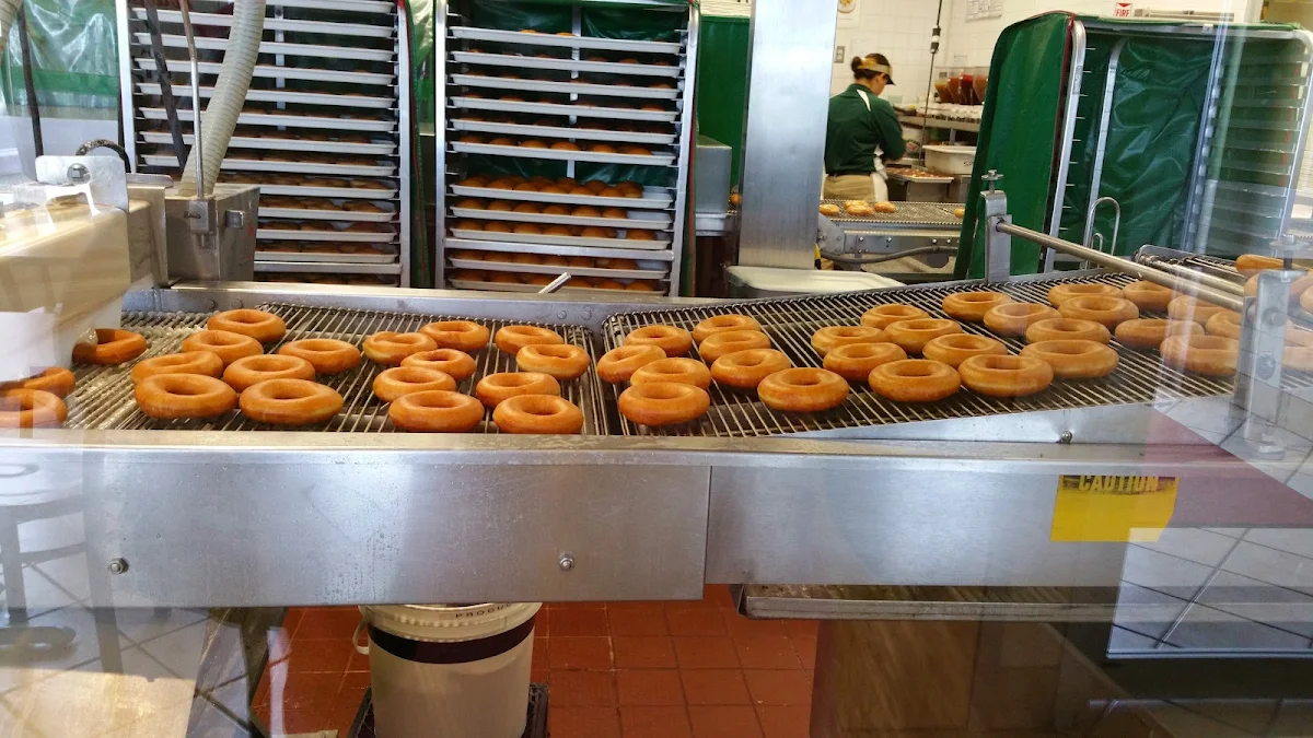 Plain Donuts