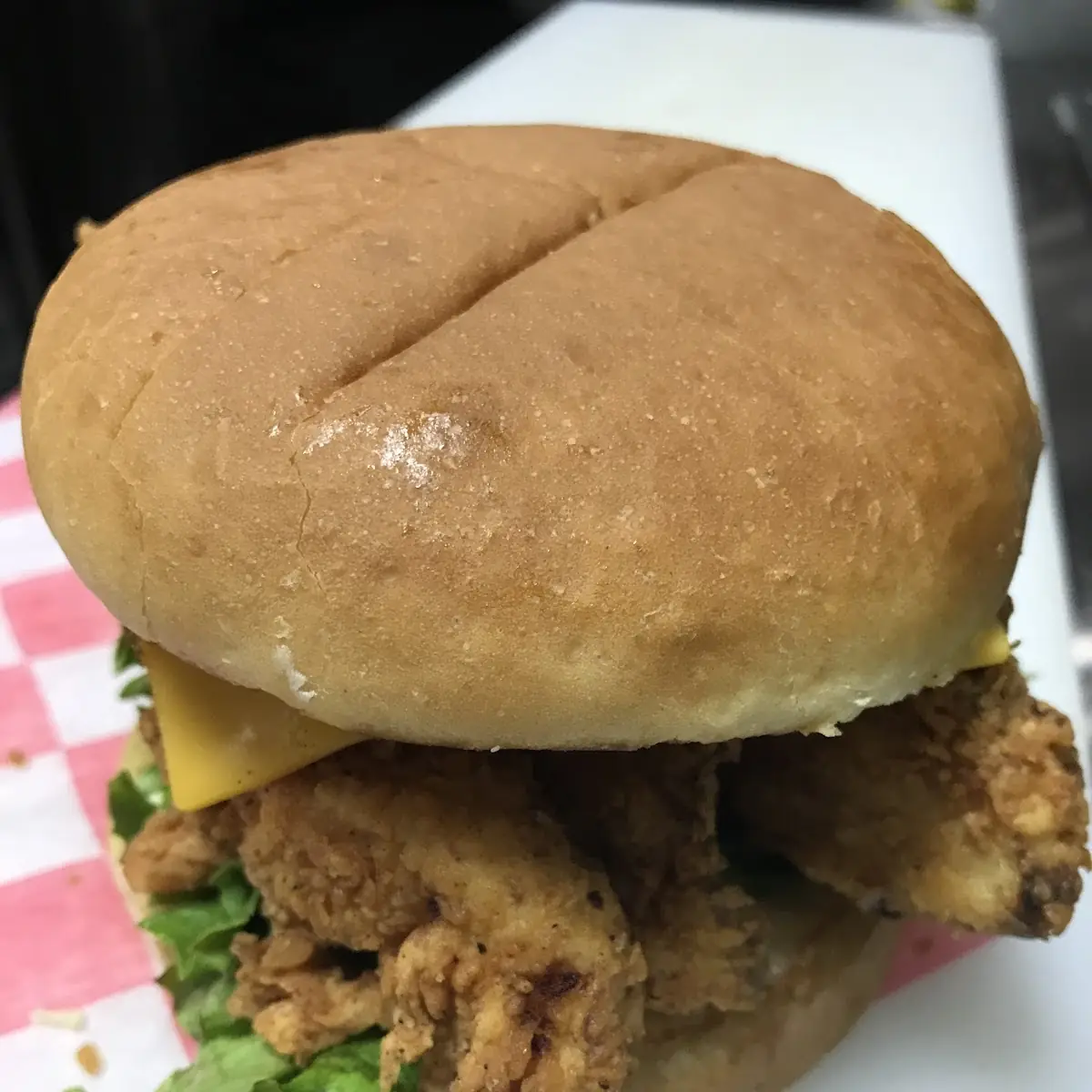 Turkey Burger Only