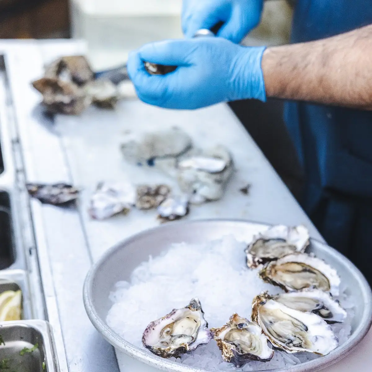 Raw Oysters