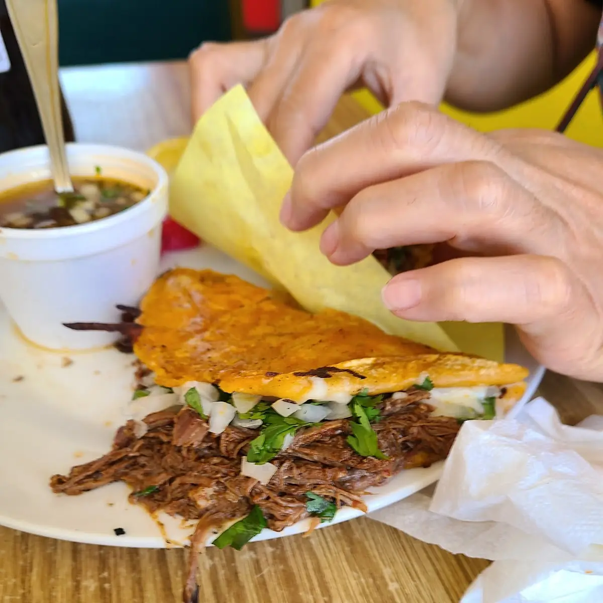 Birria Tacos