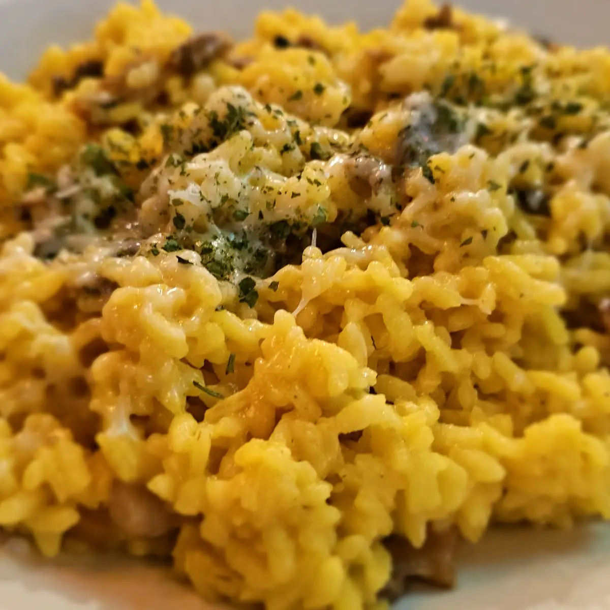 Mushroom Risotto