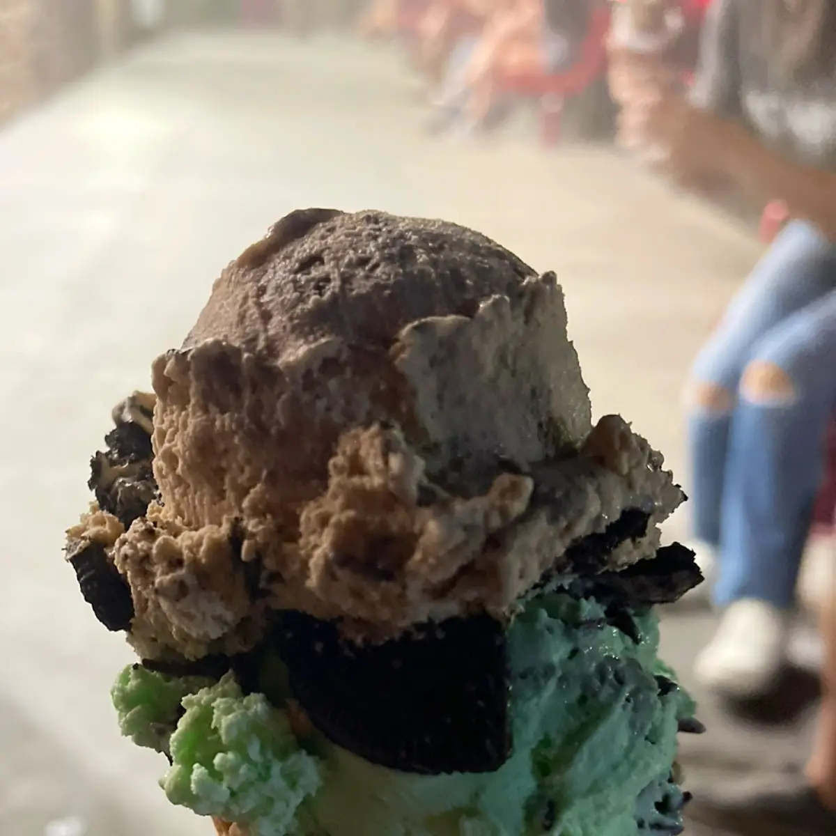 Mint Chocolate Chip