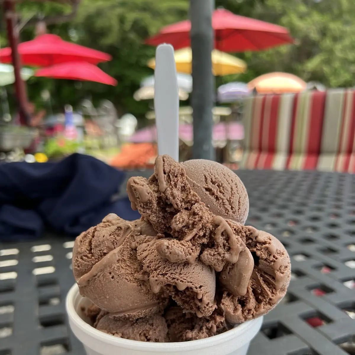 Chocolate Ice Cream