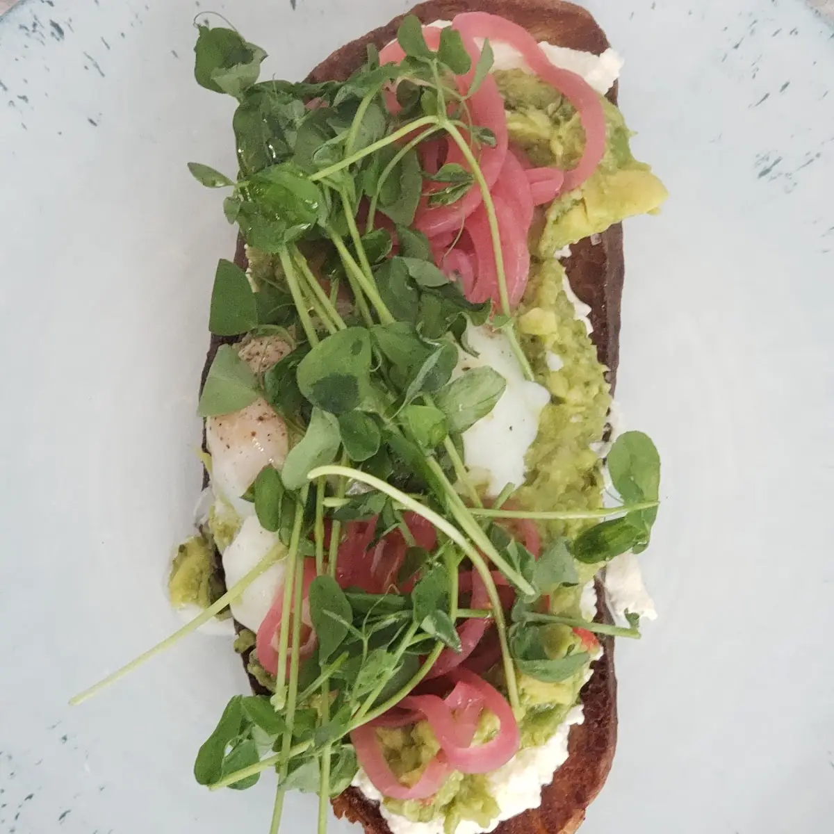 Avocado Toast