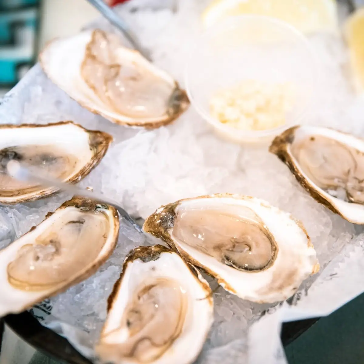 Fresh Oysters on the Half Shell