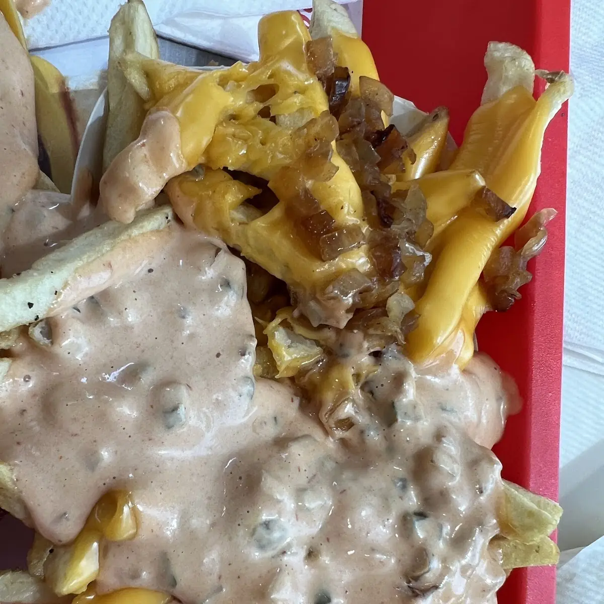 Animal Style Fries