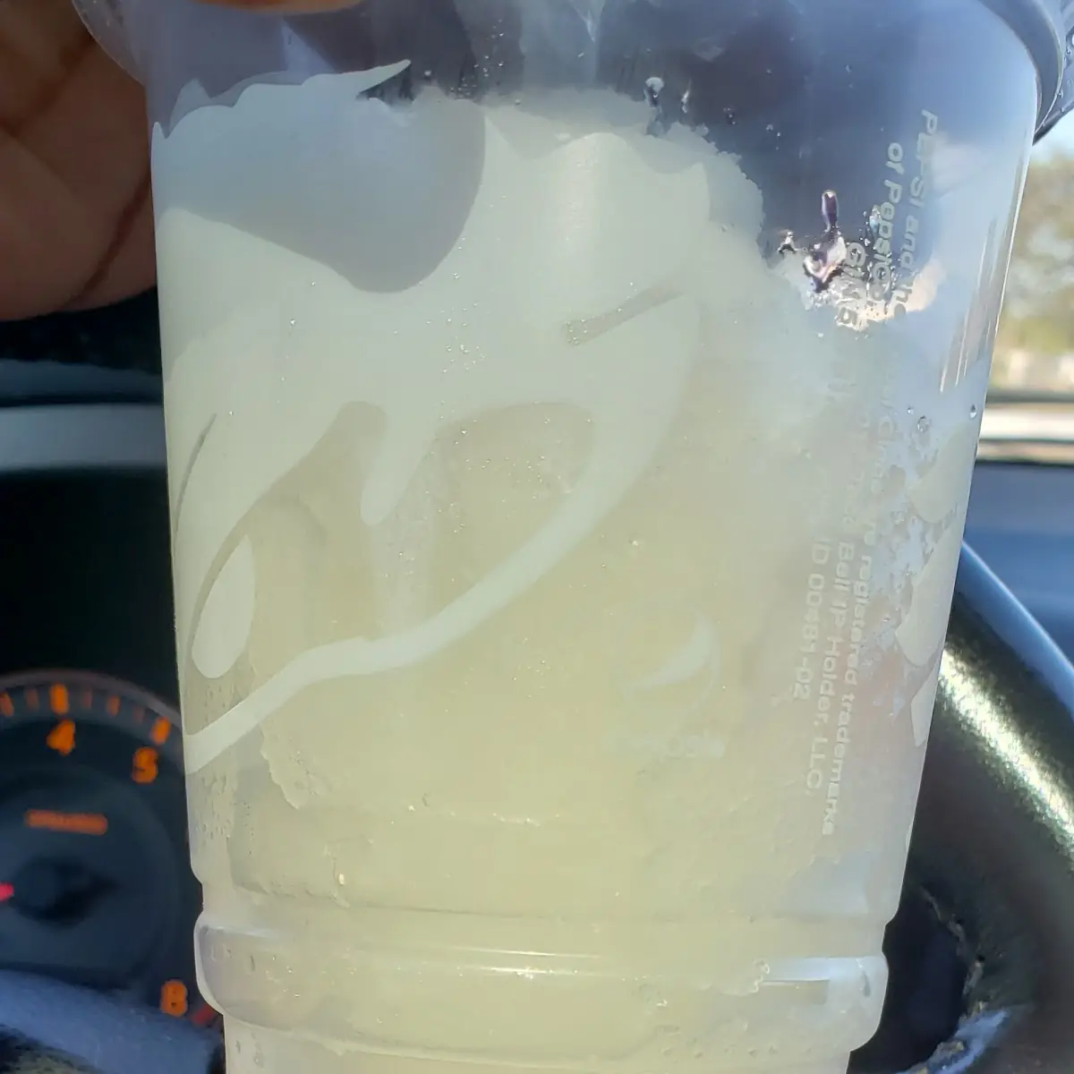 Dragon Fruit Slush