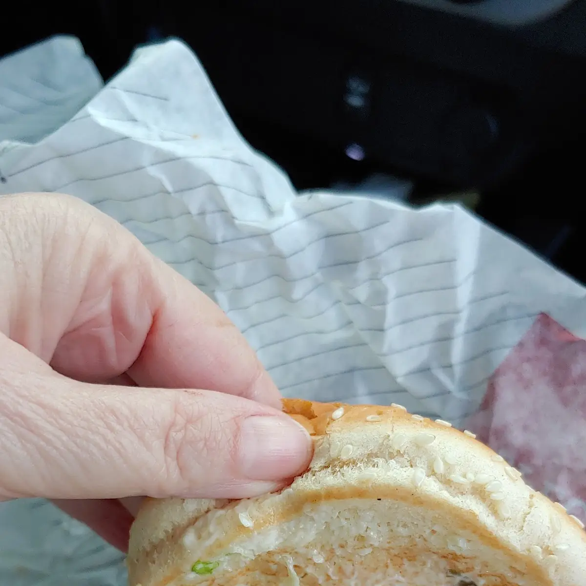 Arby's Fish Sandwich