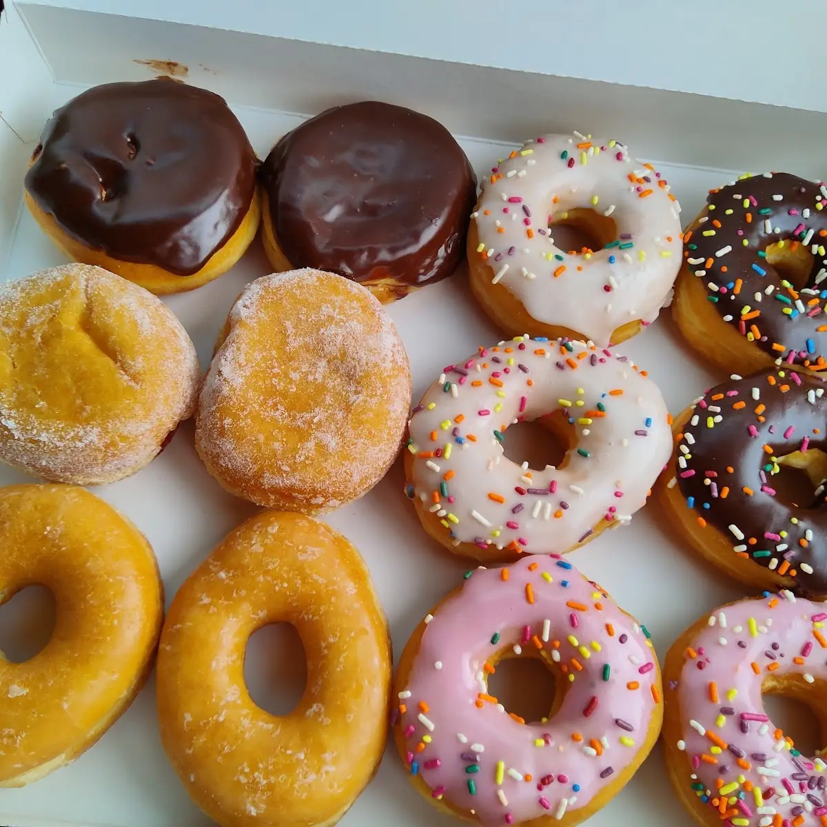 Doughnut