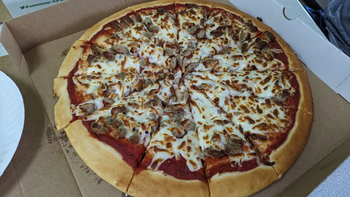 Sausage Pizza Large