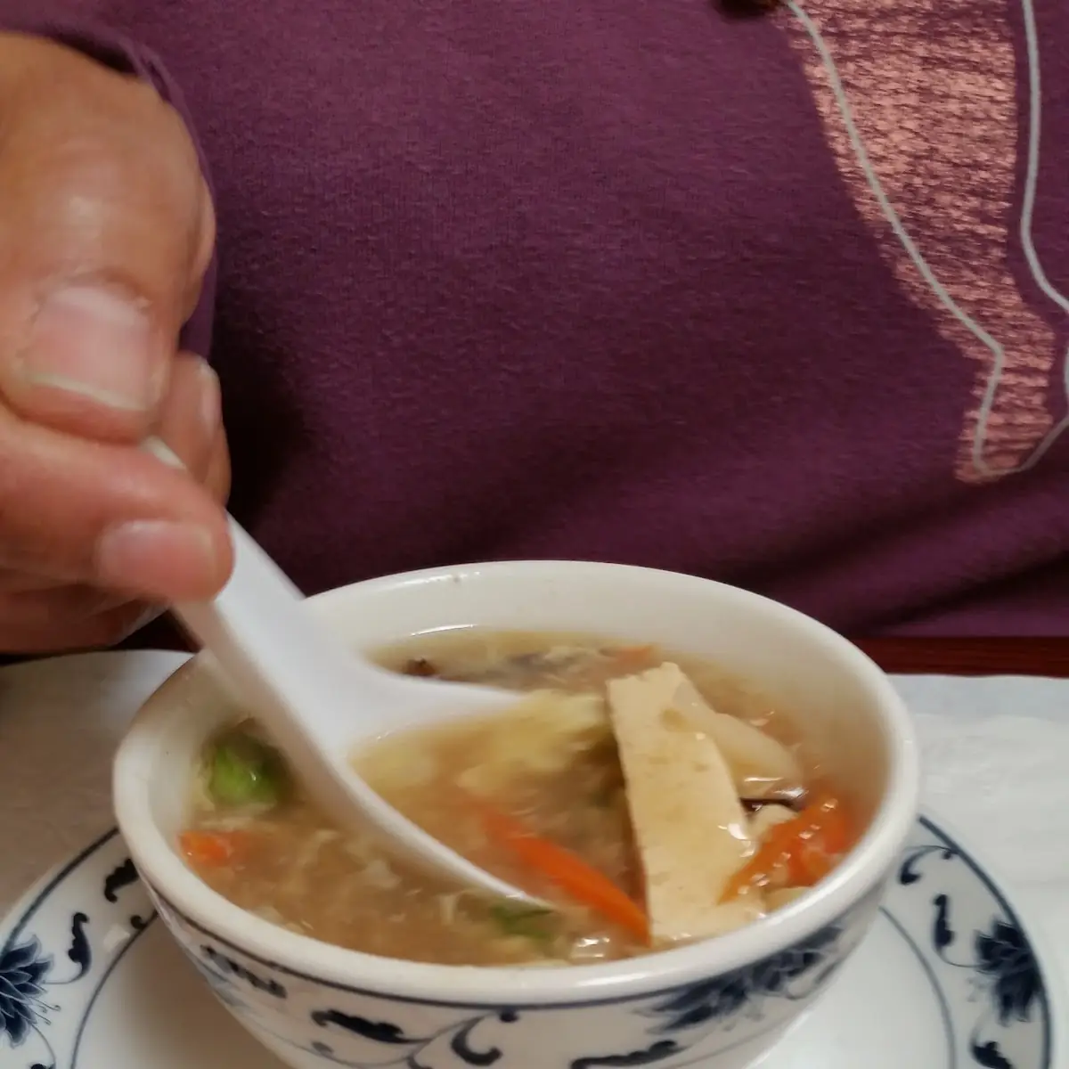Hot and Sour Soup Appetizer