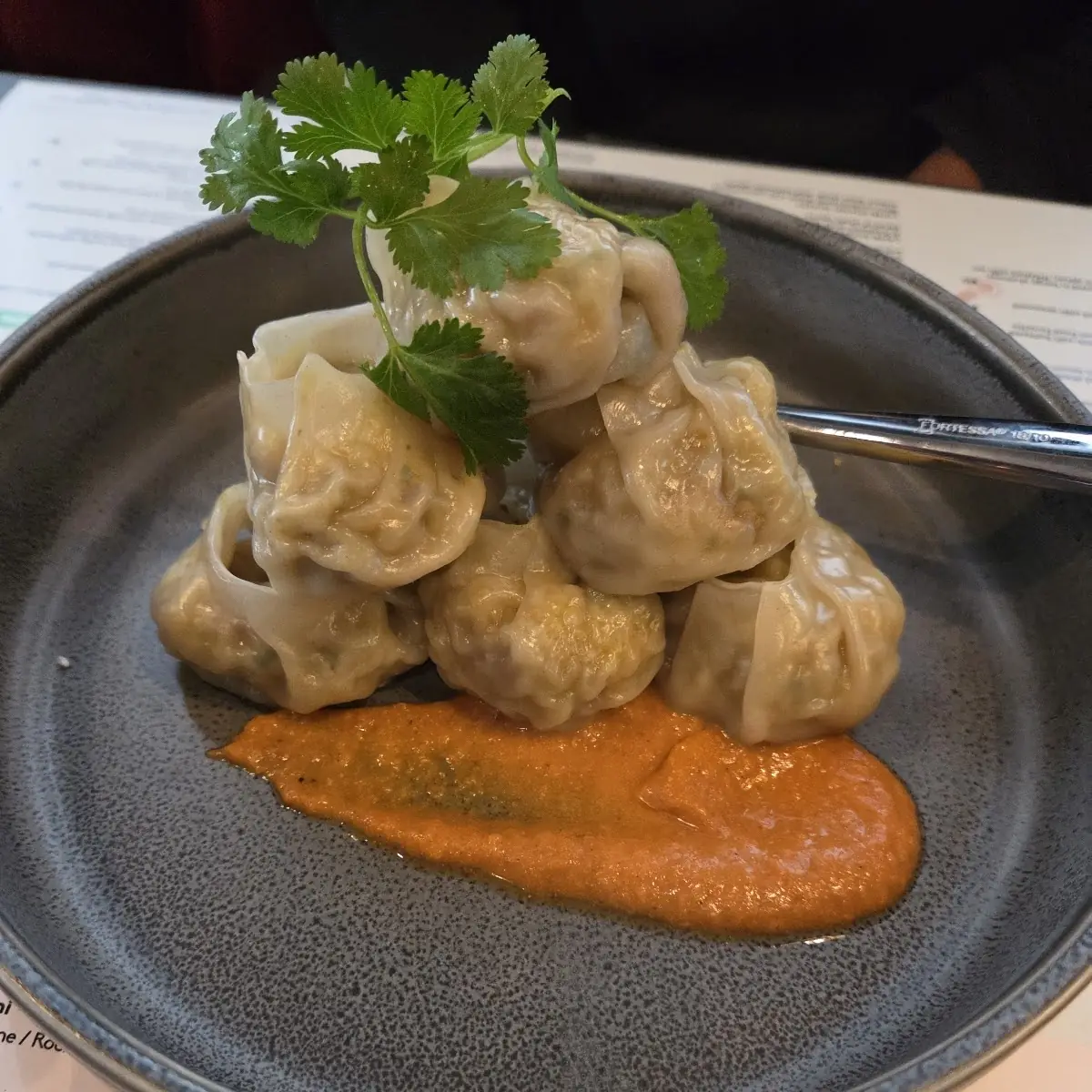 Momo’S Chicken Dumplings