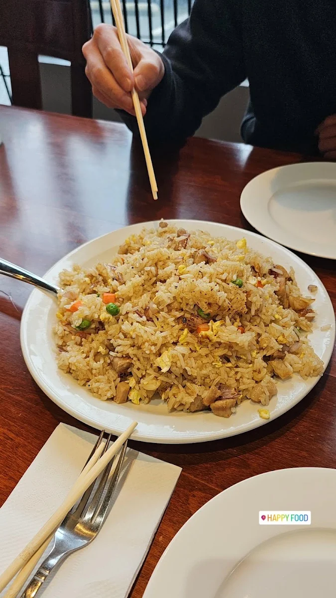 21. Chicken Fried Rice 鸡肉炒饭