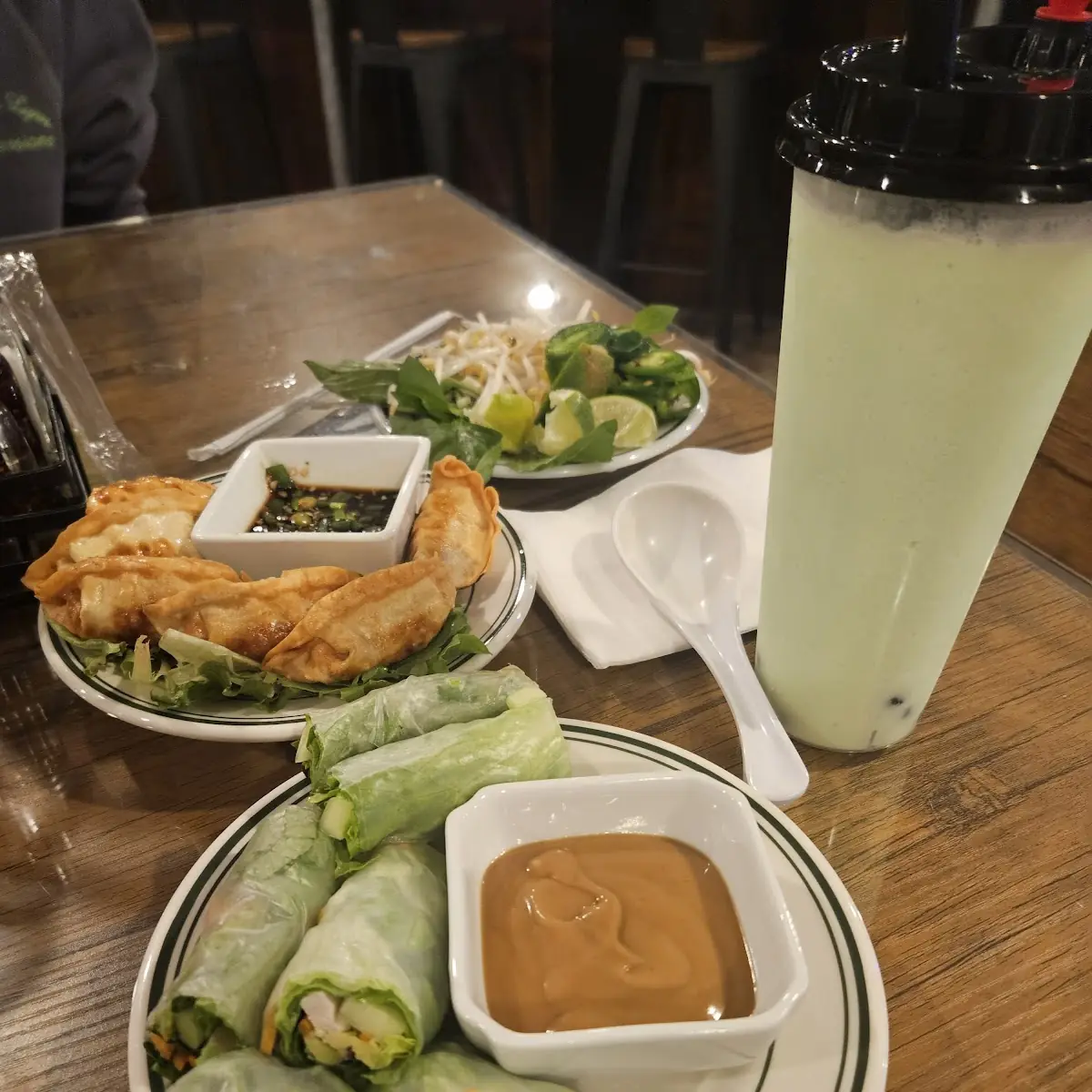 Spring Rolls and Gyoza
