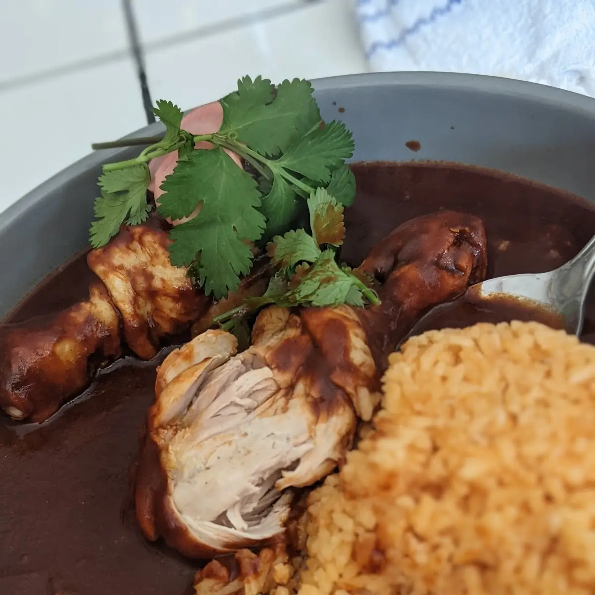 Mole Rojo Con Pollo