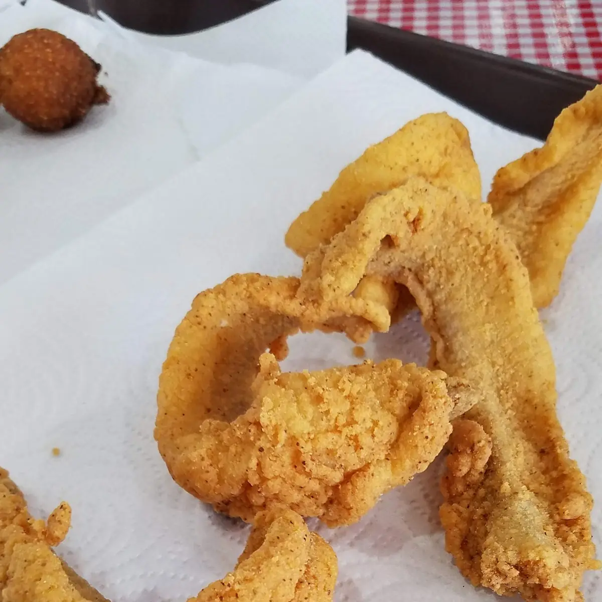 Catfish Fillet