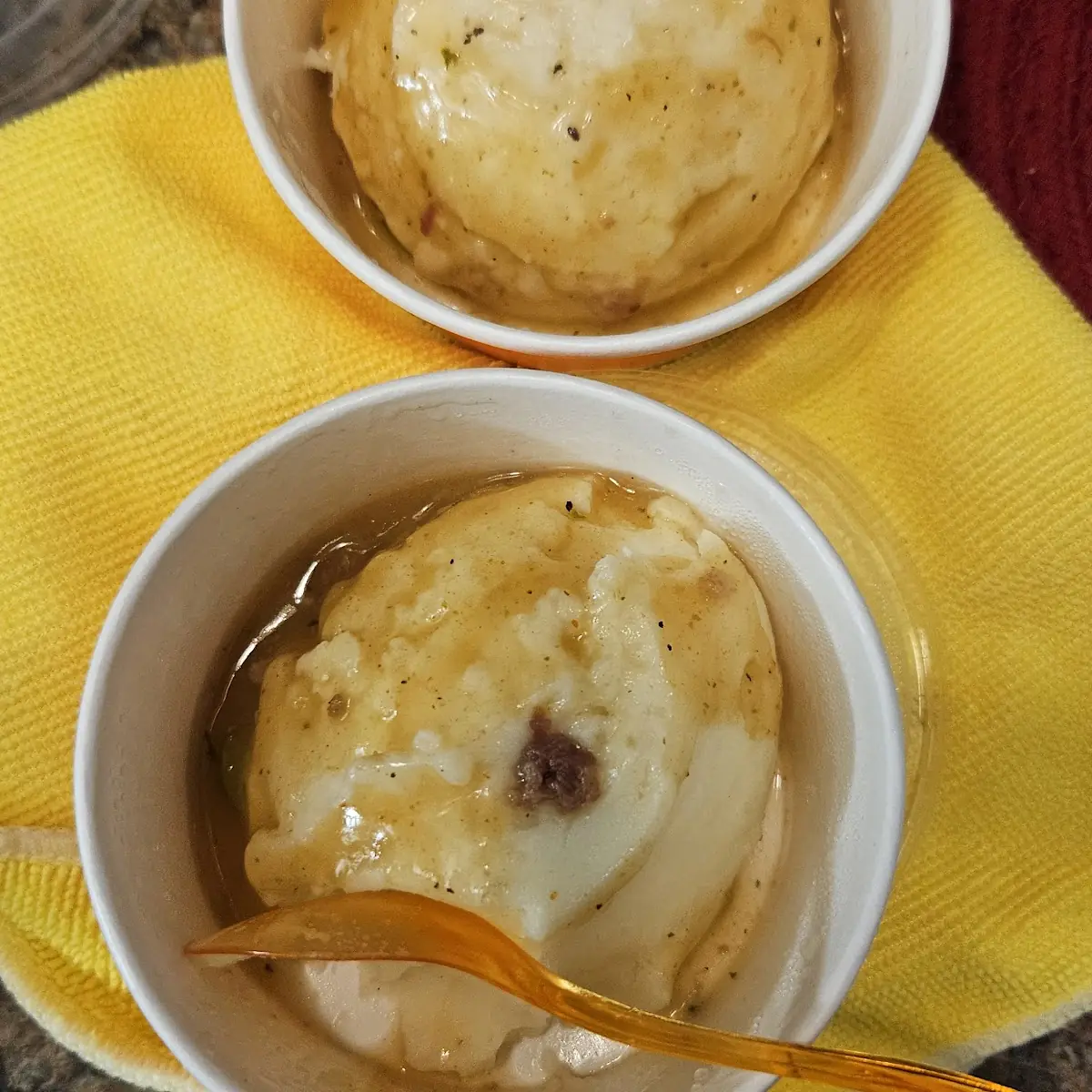 Onion Soup