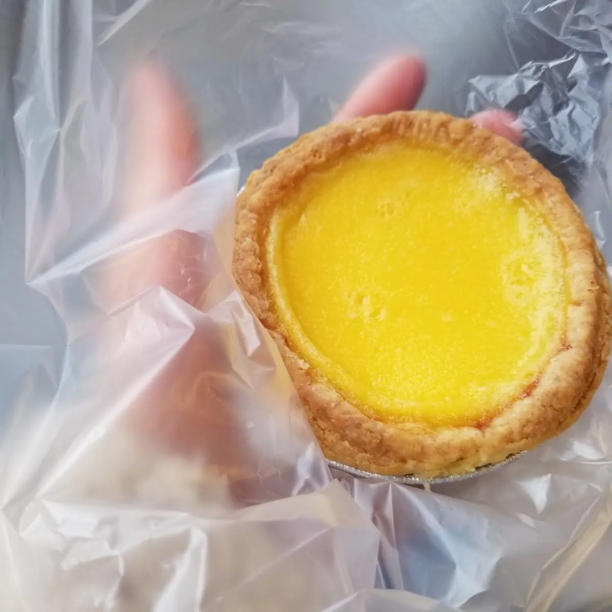 Egg Custard Tart