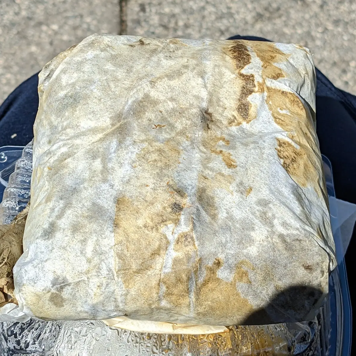 Sticky Rice in Lotus Leaf