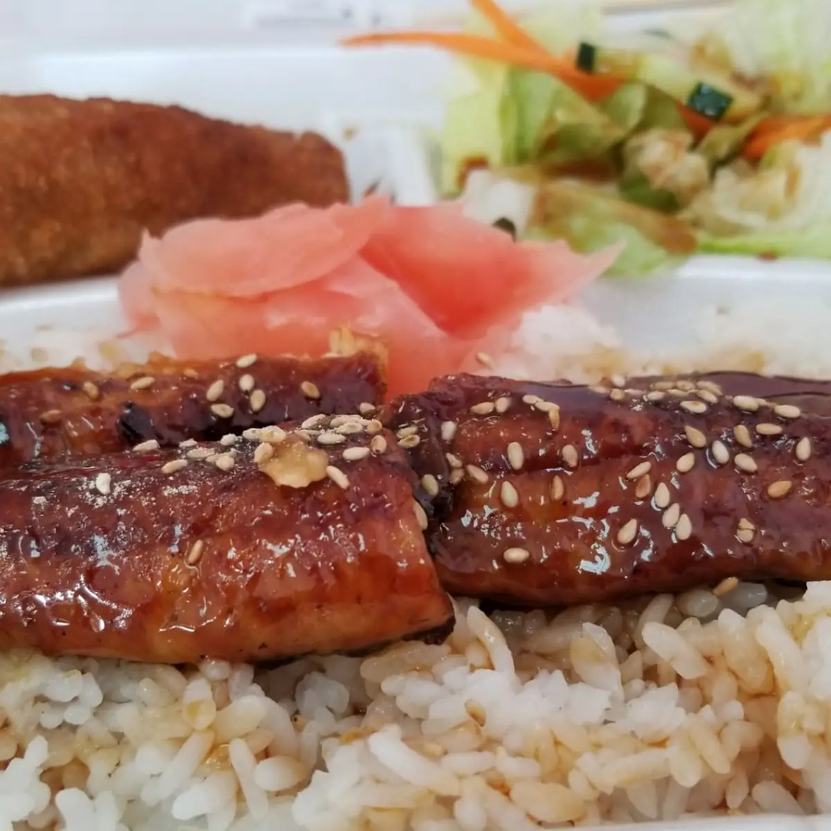 Unagi Eel with Rice