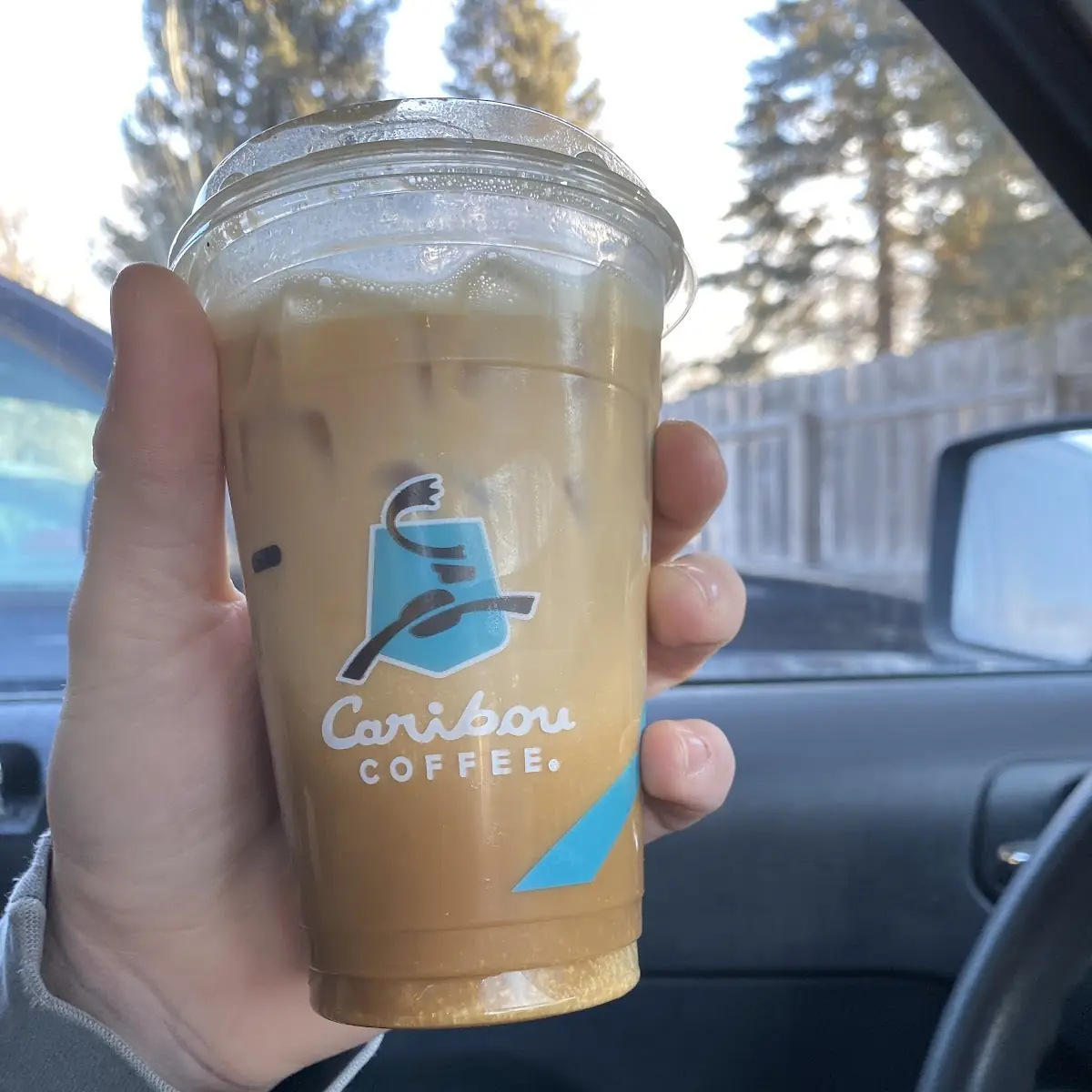 Cold Brew